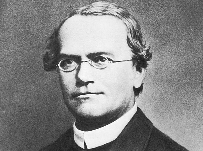 Black and white portrait of Gregor Mendel, father of the research on genetics