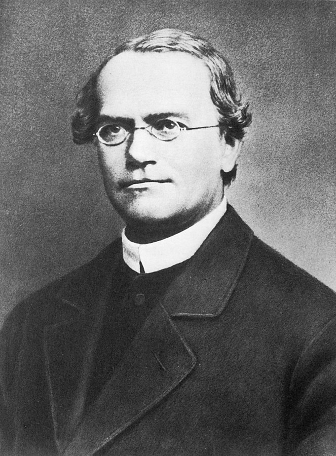 Gregor Mendel, the founder of genetics