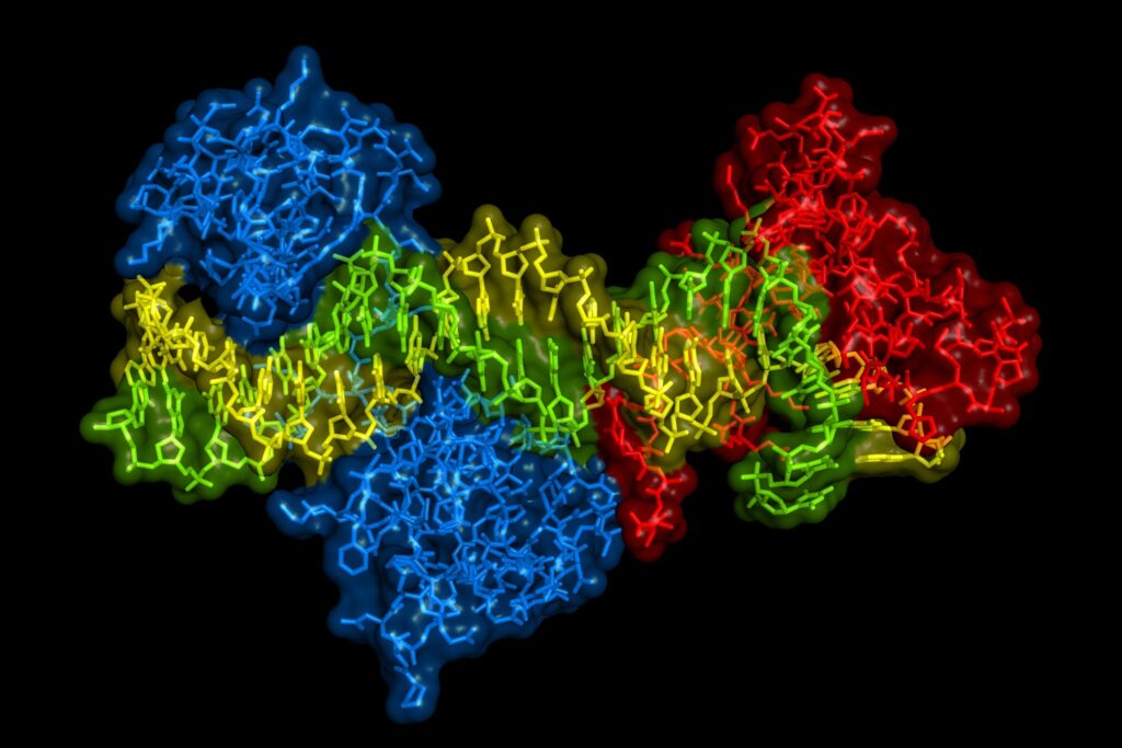 Semi 3D image of a DNA binding domain in a protein