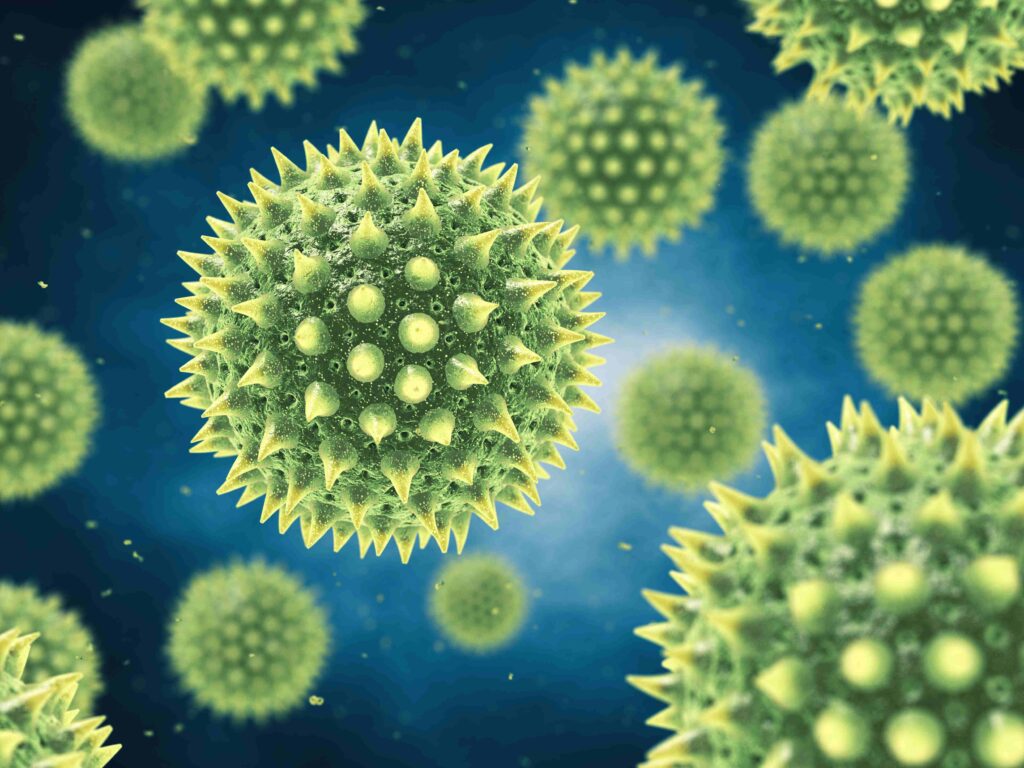 Artist's impression of a scanning electron microscopy picture of pollen grains