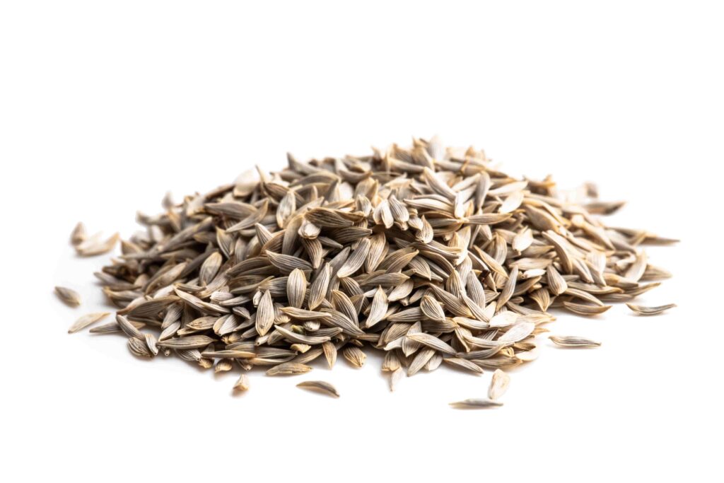 A pile of lettuce seeds